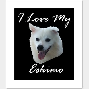 I love my Eskimo (American Eskimo Dog - Spitz) Posters and Art